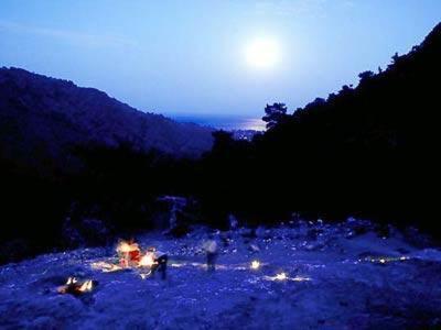 Bayrams Tree Houses Olympos Exterior foto