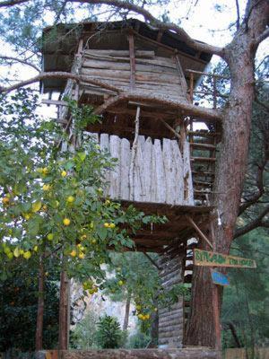 Bayrams Tree Houses Olympos Cameră foto