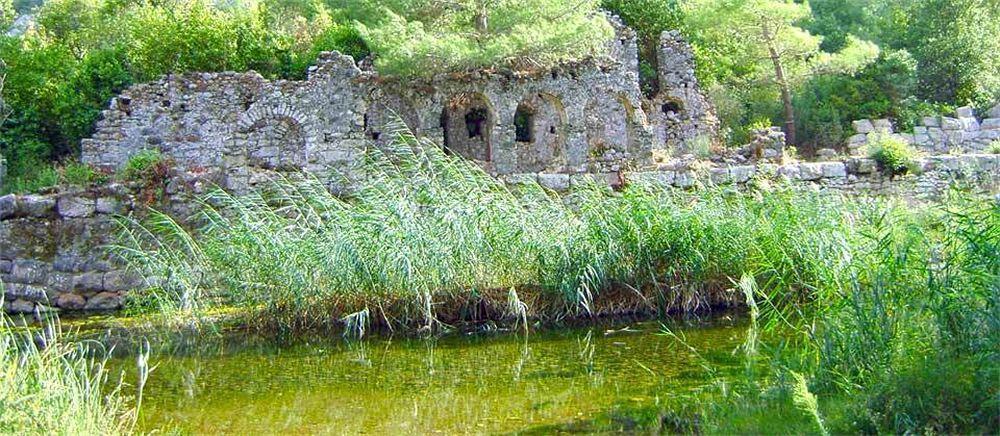Bayrams Tree Houses Olympos Exterior foto