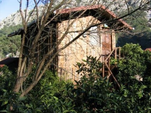 Bayrams Tree Houses Olympos Cameră foto